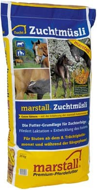 marstall ZUCHT
